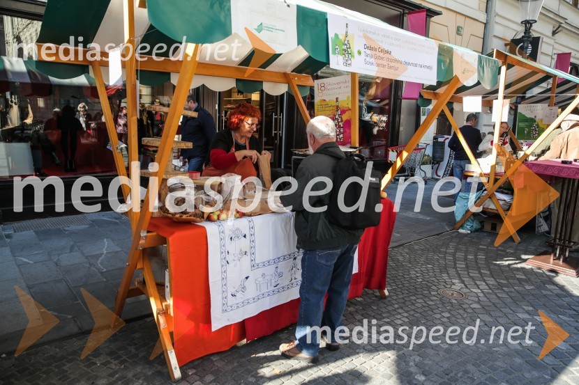 Martinovanje v Ljubljani 2015 Martinovanje v Ljubljani 2015