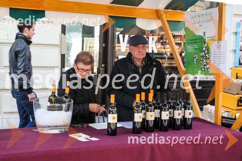 Martinovanje v Ljubljani 2015 Martinovanje v Ljubljani 2015