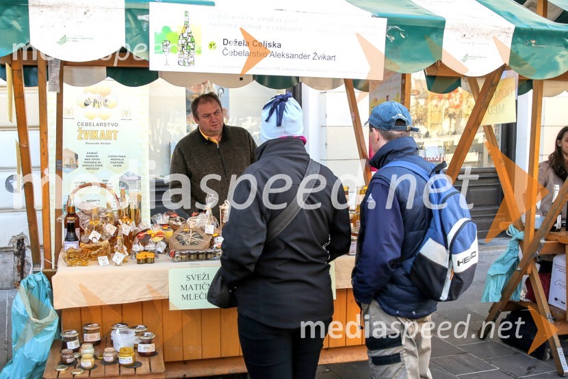 Martinovanje v Ljubljani 2015Martinovanje v Ljubljani 2015