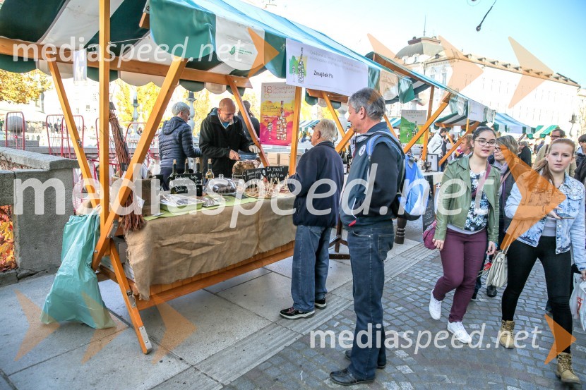 Martinovanje v Ljubljani 2015Martinovanje v Ljubljani 2015