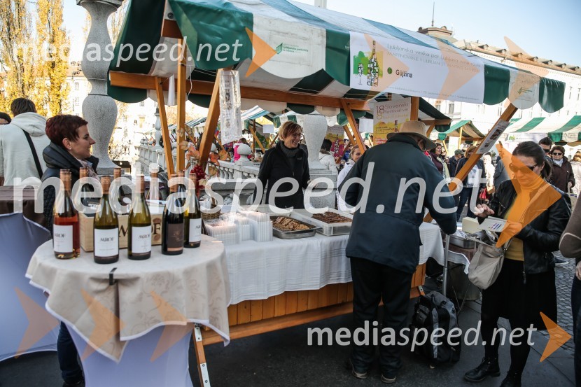 Martinovanje v Ljubljani 2015Martinovanje v Ljubljani 2015