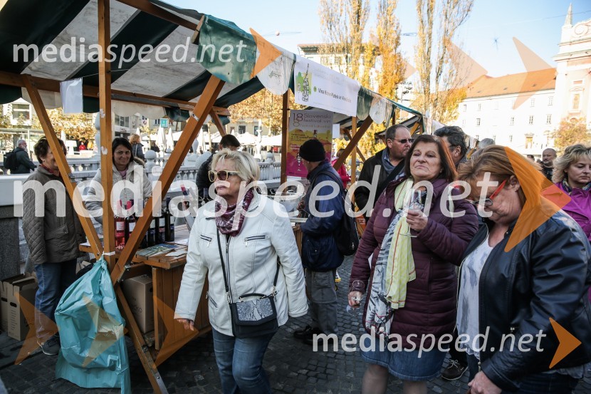 Martinovanje v Ljubljani 2015Martinovanje v Ljubljani 2015