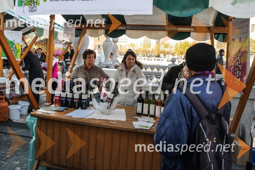 Martinovanje v Ljubljani 2015Martinovanje v Ljubljani 2015