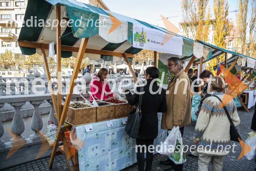 Martinovanje v Ljubljani 2015Martinovanje v Ljubljani 2015