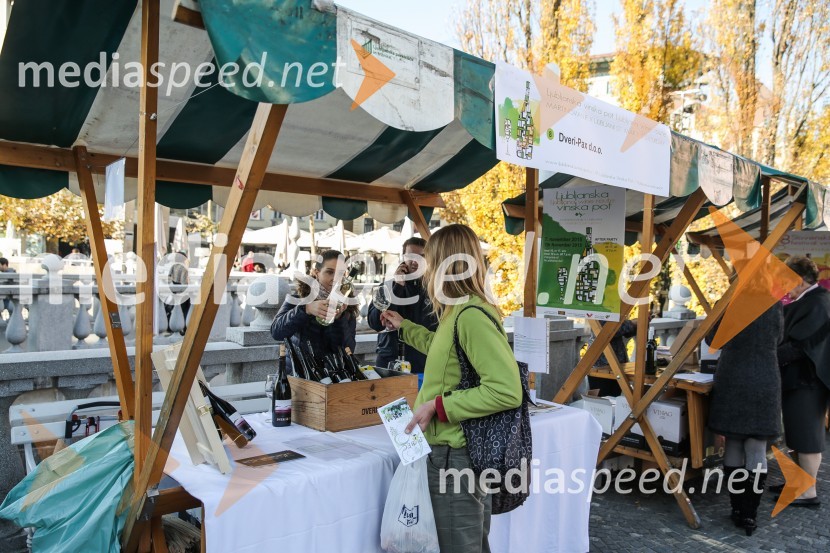 Martinovanje v Ljubljani 2015Martinovanje v Ljubljani 2015
