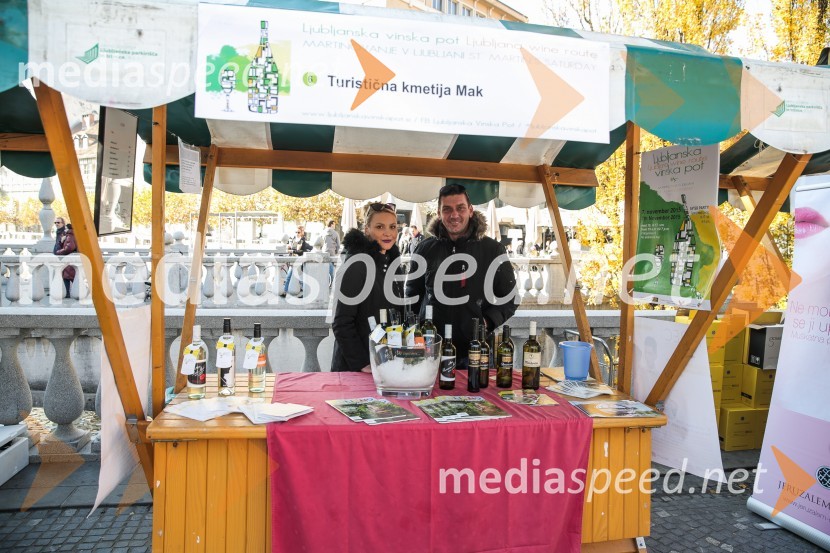 Martinovanje v Ljubljani 2015