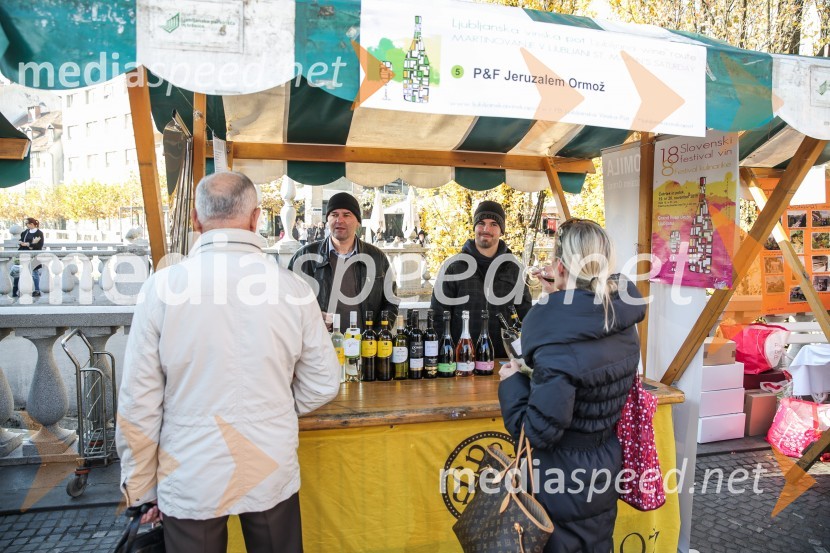 Martinovanje v Ljubljani 2015