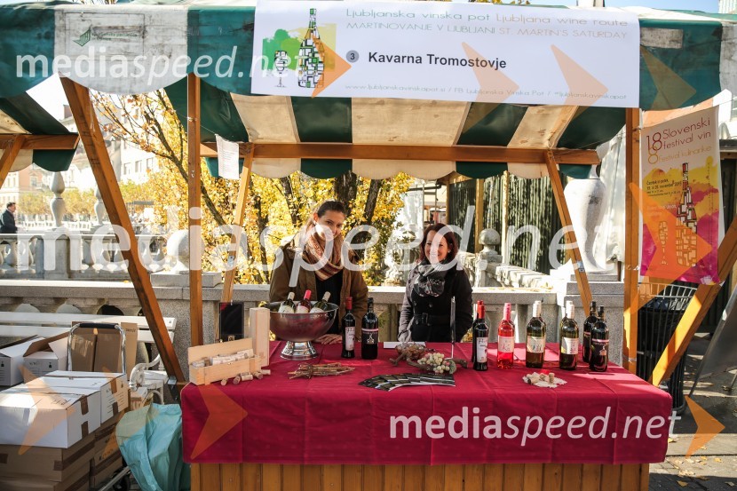 Martinovanje v Ljubljani 2015Martinovanje v Ljubljani 2015