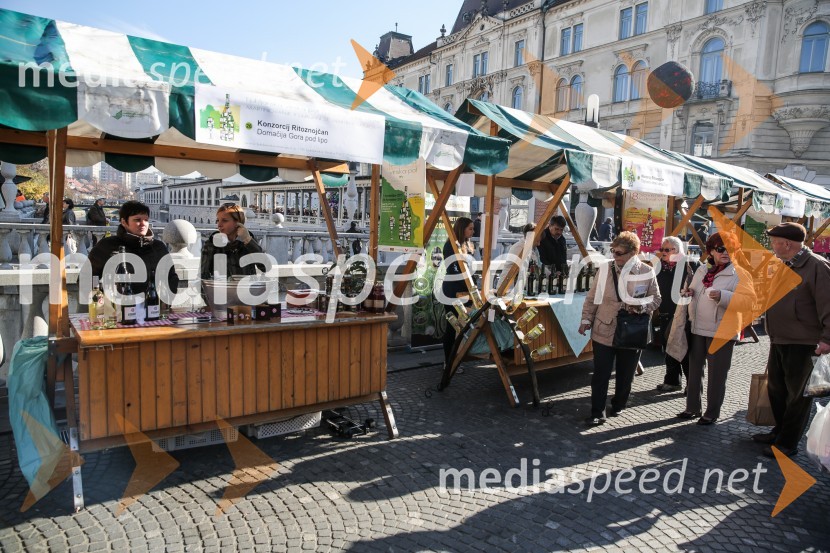 Martinovanje v Ljubljani 2015Martinovanje v Ljubljani 2015