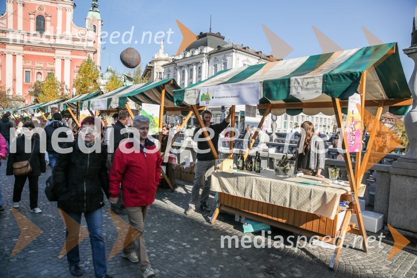 Martinovanje v Ljubljani 2015Martinovanje v Ljubljani 2015