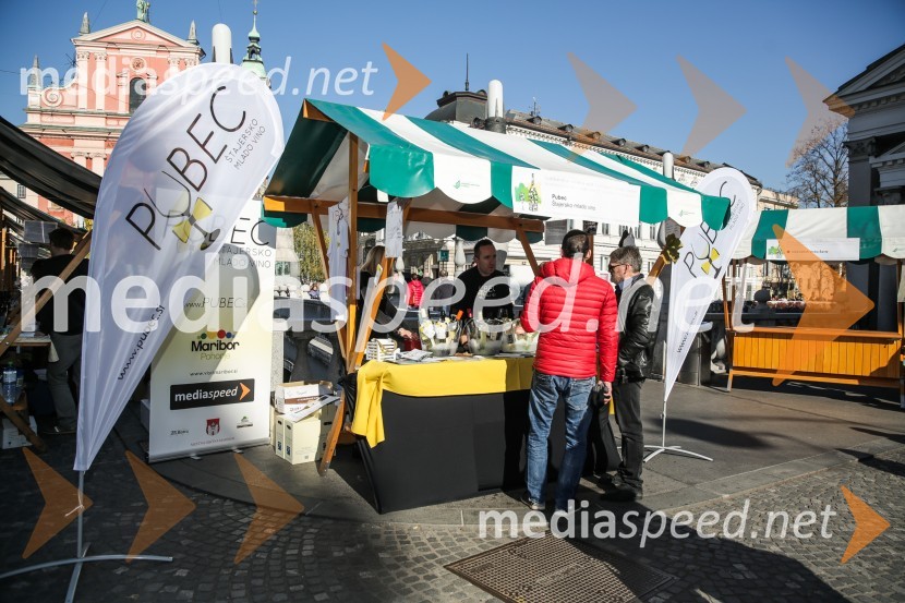 Martinovanje v Ljubljani 2015