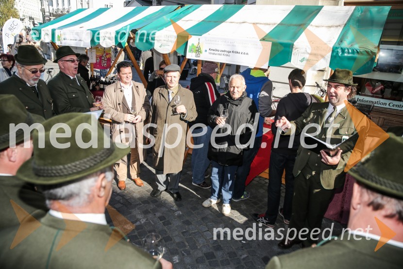 Martinovanje v Ljubljani 2015Martinovanje v Ljubljani 2015