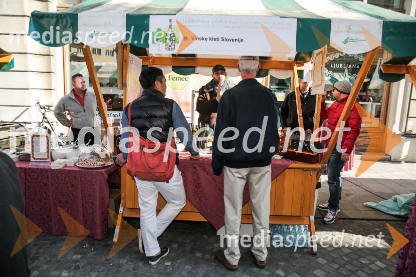 Martinovanje v Ljubljani 2015