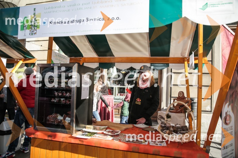 Martinovanje v Ljubljani 2015