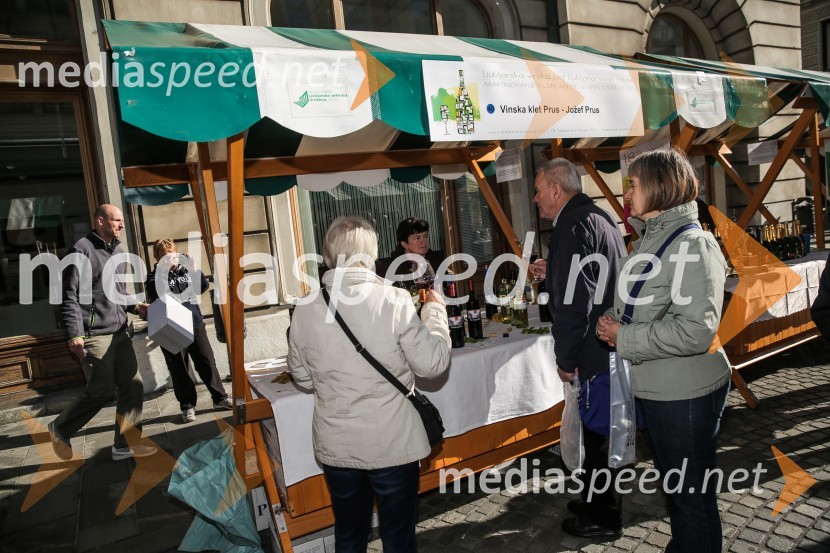 Martinovanje v Ljubljani 2015Martinovanje v Ljubljani 2015