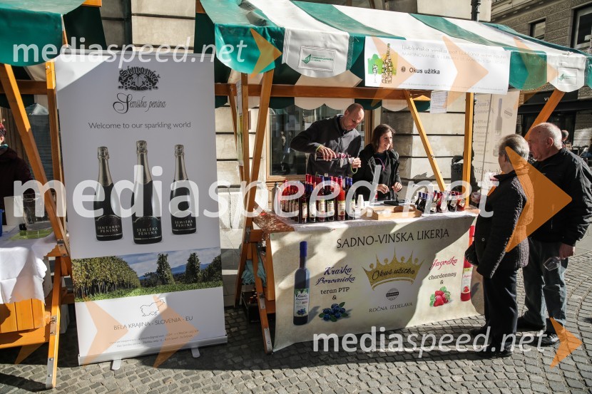 Martinovanje v Ljubljani 2015Martinovanje v Ljubljani 2015