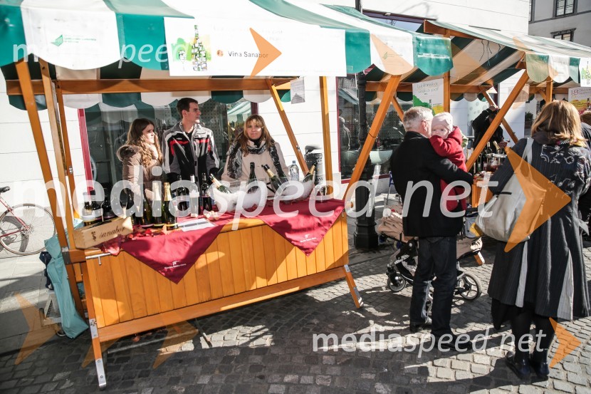 Martinovanje v Ljubljani 2015Martinovanje v Ljubljani 2015