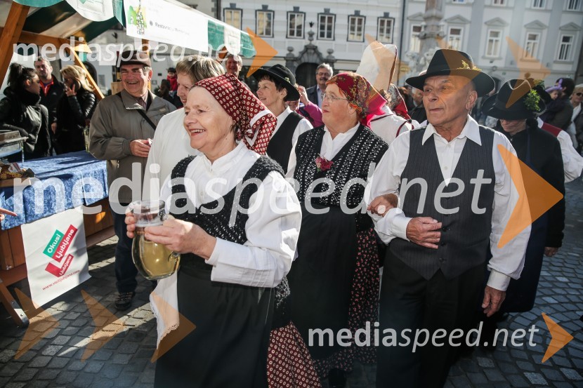 Martinovanje v Ljubljani 2015Martinovanje v Ljubljani 2015