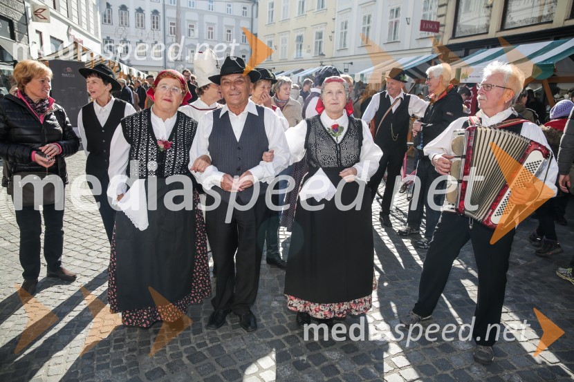 Martinovanje v Ljubljani 2015Martinovanje v Ljubljani 2015