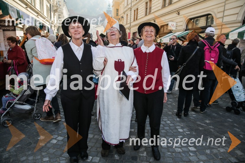 Martinovanje v Ljubljani 2015