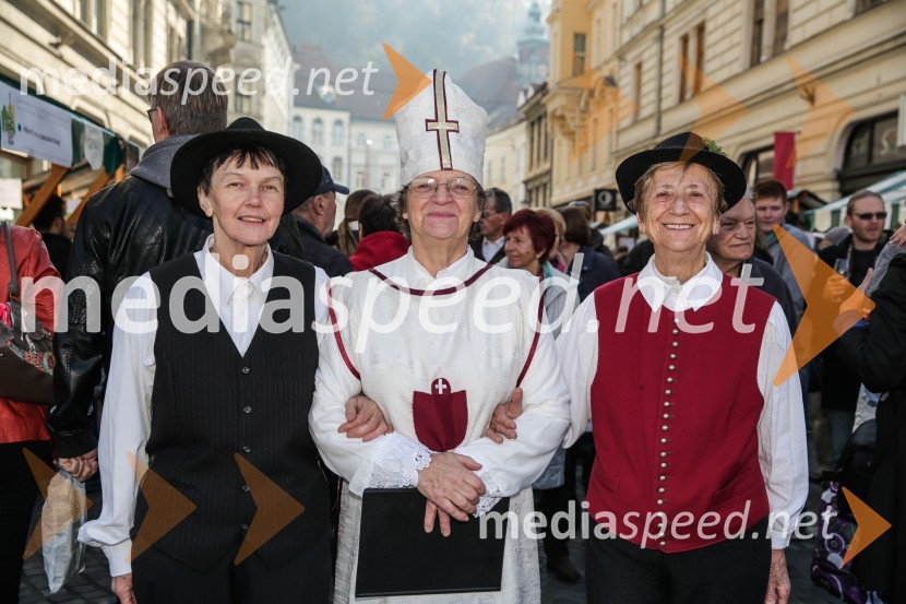 Martinovanje v Ljubljani 2015Martinovanje v Ljubljani 2015