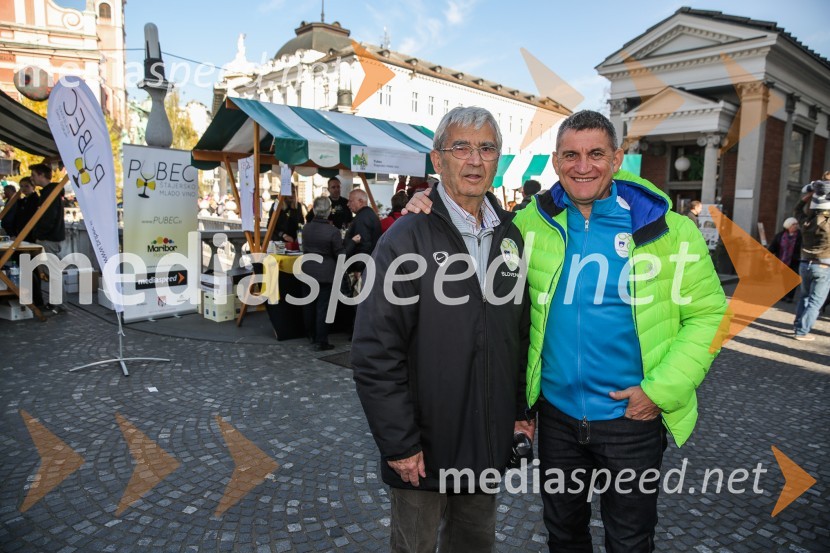 Martinovanje v Ljubljani 2015