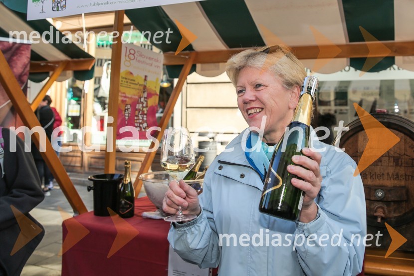 Martinovanje v Ljubljani 2015