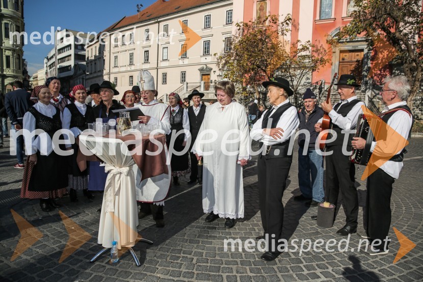 Martinovanje v Ljubljani 2015