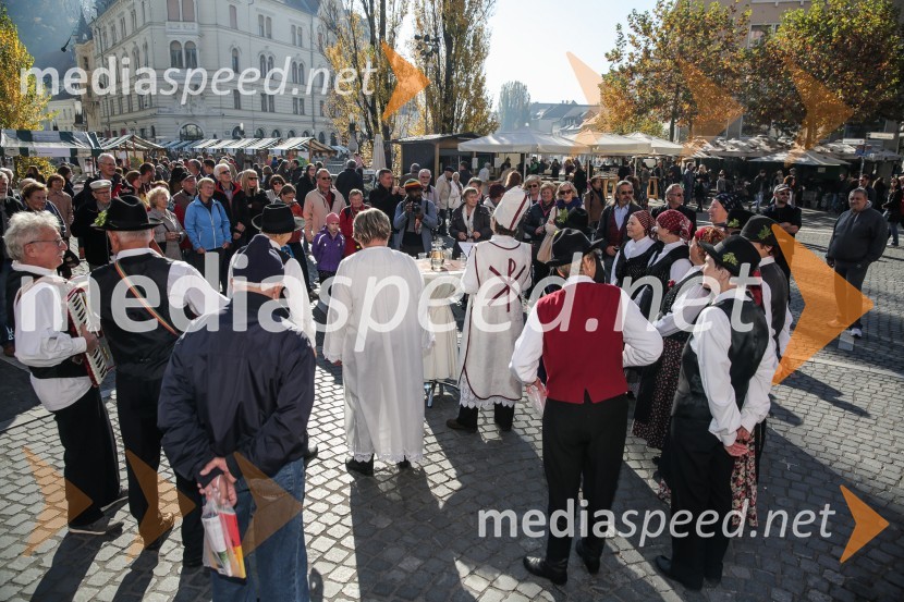Martinovanje v Ljubljani 2015Martinovanje v Ljubljani 2015