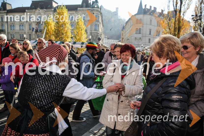 Martinovanje v Ljubljani 2015Martinovanje v Ljubljani 2015