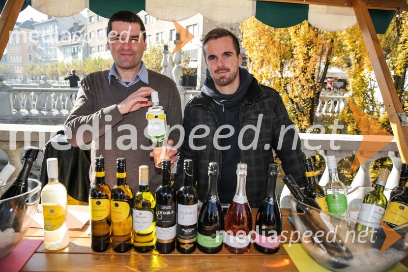  ... ;  Klemen LesnjakMartinovanje v Ljubljani 2015