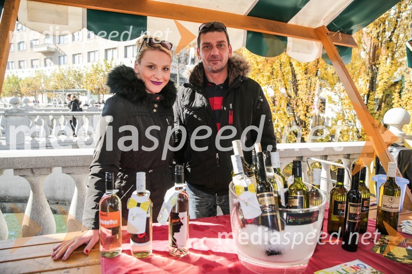  ... ;  Borut  Anderlič, Vinarstvo AnderličMartinovanje v Ljubljani 2015