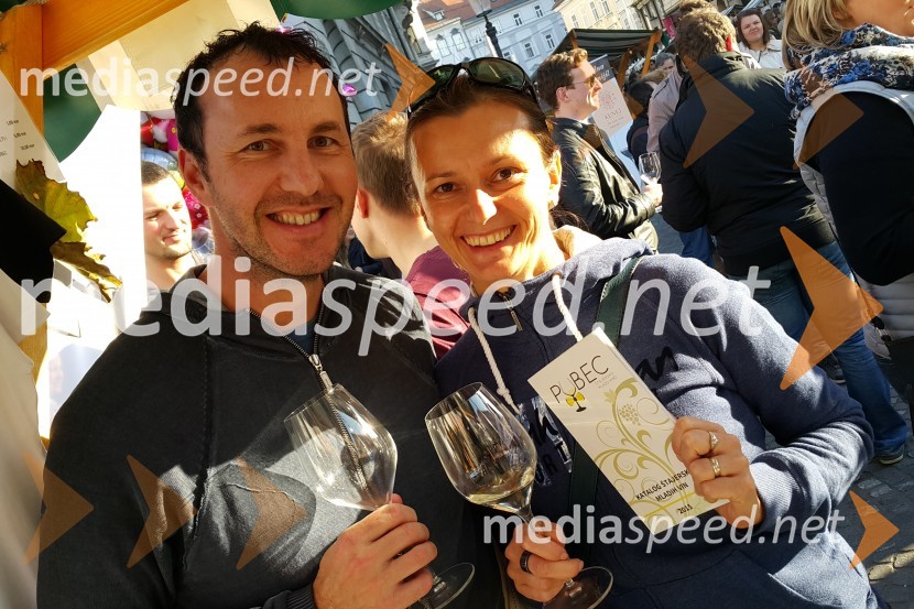  Jernej Dirnbek - Dimek, skupina MI2;  ... Martinovanje v Ljubljani 2015