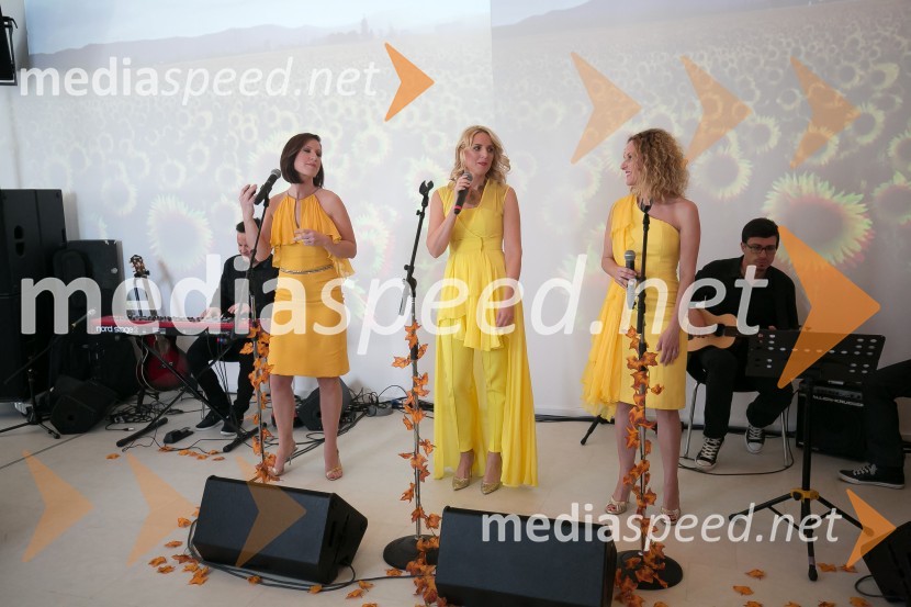  Sanja  Mlinar Marin, Katrinas;  Katarina Habe, Katrinas;  Petra  Grkman, KatrinasŽarki za srce, predstavitev nove plošče Katrinas