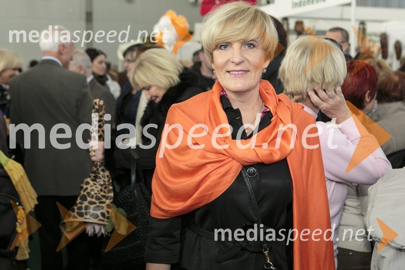  Mojca Lah, predsednica SILA22. SILA bazar 2015