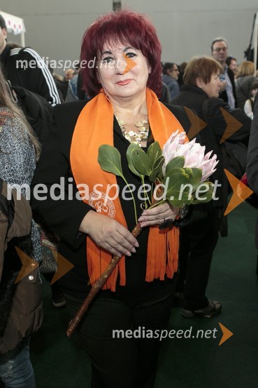  Vlasta Nussdorfer, varuhinja človekovih pravic22. SILA bazar 2015