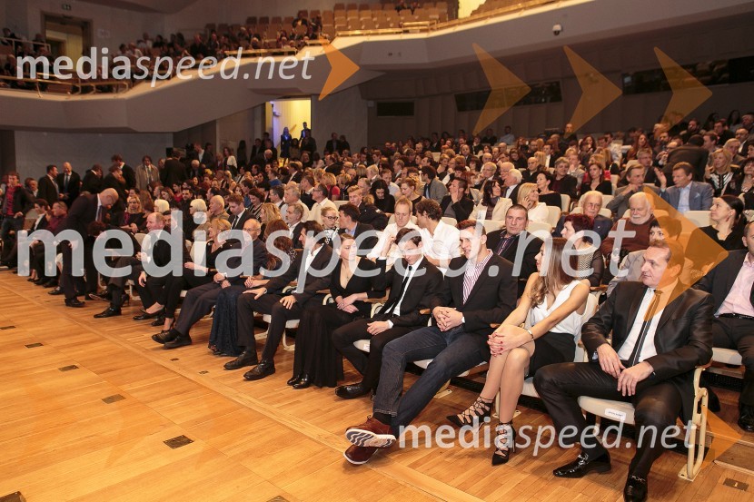 Športnik leta 2015Športnik leta 2015