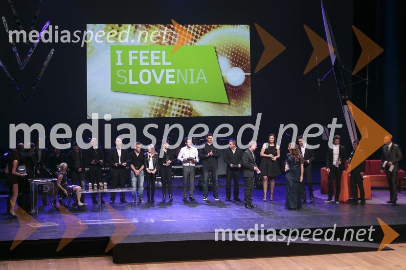 Športnik leta 2015Športnik leta 2015