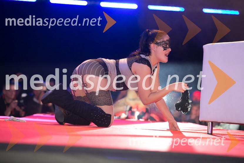 8. mednarodni erotični sejem sLOVErotika, Ogled fotografij ni priporočljiv za mlajše od 18 let!