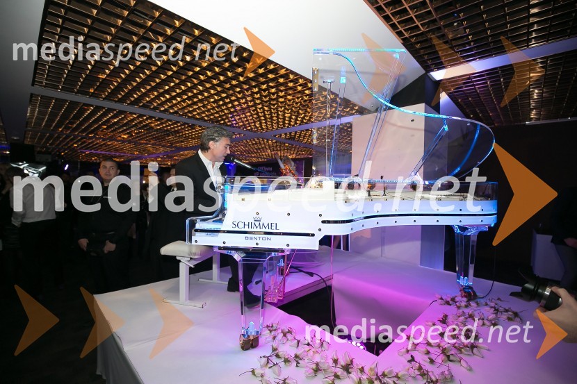  Jan Plestenjak, pevecSVETovna VIP zabava 2015