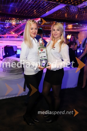 SVETovna VIP zabava 2015