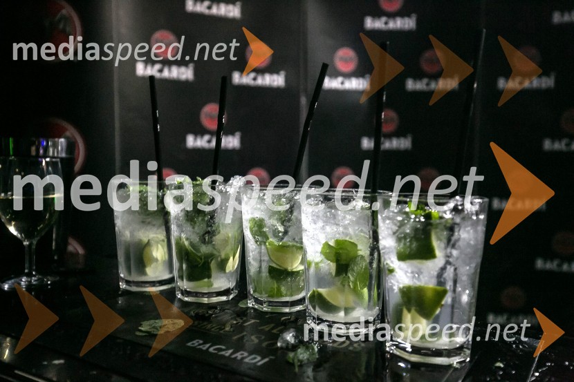 SVETovna VIP zabava 2015SVETovna VIP zabava 2015