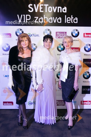  Darja Kuhar Kotnik, UO Društva za zdravje naroda;  Andreja Vidic, plisiranje tkanin;  Metka  Premerl, slavistkaSVETovna VIP zabava 2015