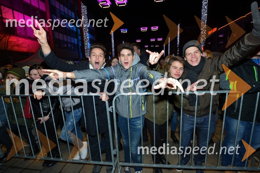 Big Foot Mama, koncert