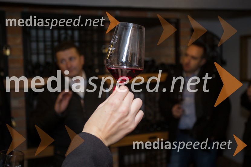 Mediaspeed 14. rojstni dan in ponovoletno druženje