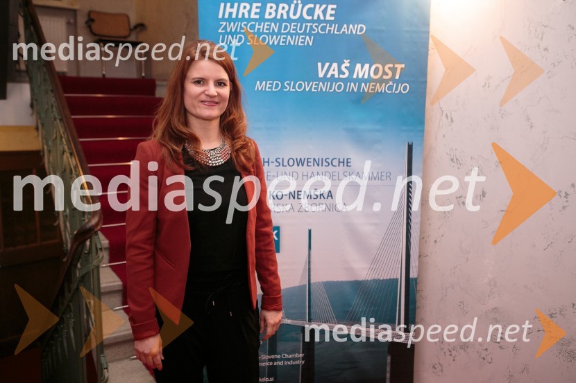 Novoletni sprejem Slovensko-nemške gospodarske zbornice in Veleposlaništva ZRN