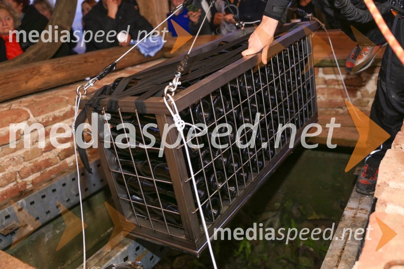 14. srečanje prijateljev hiše vin Doppler