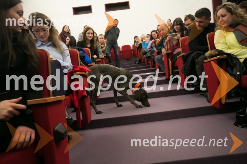  psička Oli2. Kriminalistična sreda na Fakulteti za varnostne vede