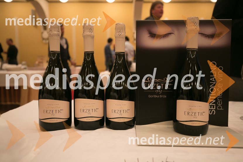 3. Salon penečih vin3. Salon penečih vin