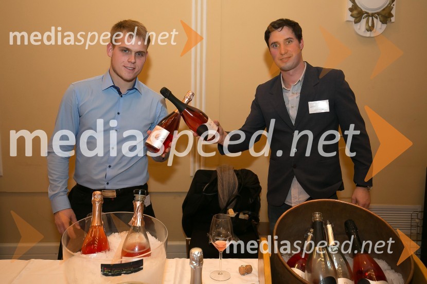 3. Salon penečih vin